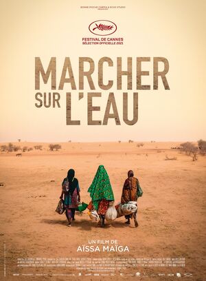 Affiche du film 