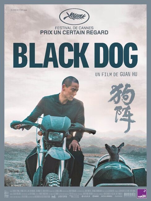 Affiche du film 