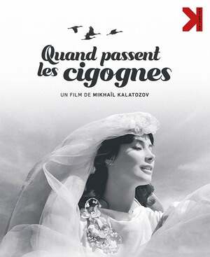 Affiche du film 