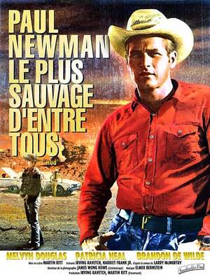 Affiche du film 