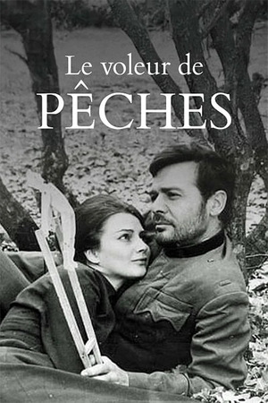 Affiche du film 