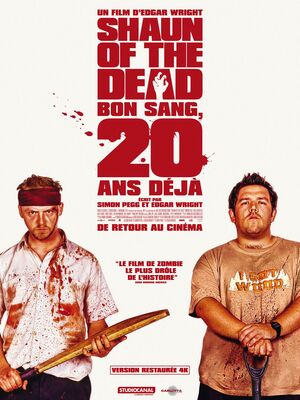 Affiche du film 