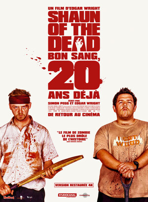 Affiche du film 