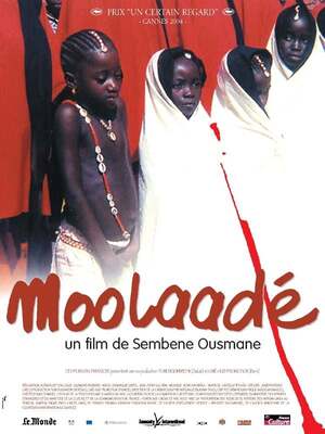 Affiche du film 