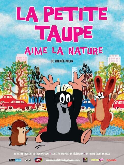 Affiche du film 