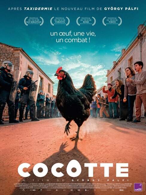 Affiche du film 