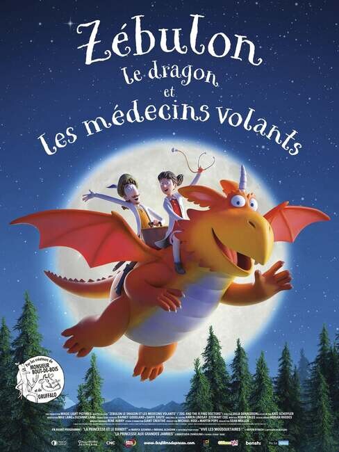 Affiche du film 