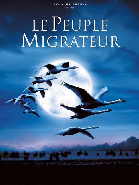 Affiche du film 