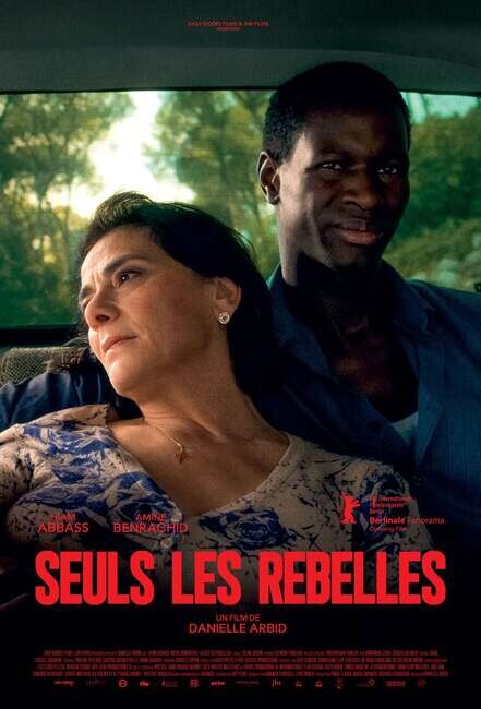 Affiche du film 