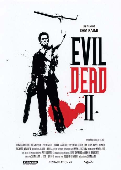 Affiche du film 
