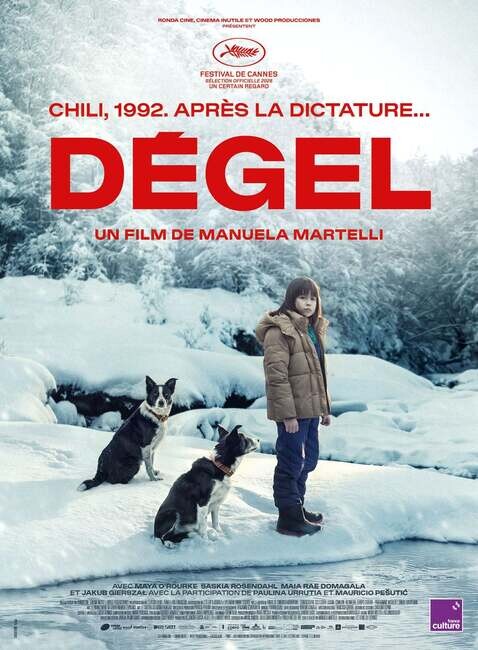 Affiche du film 
