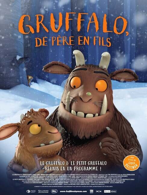 Affiche du film 