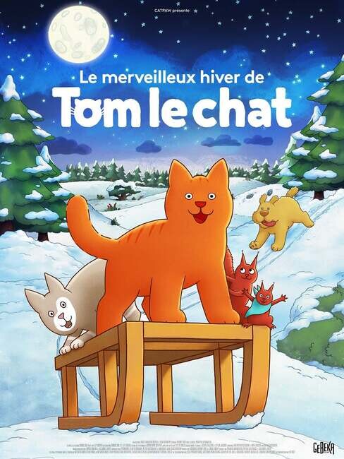 Affiche du film 