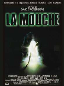 la-mouche-affiche-import-import