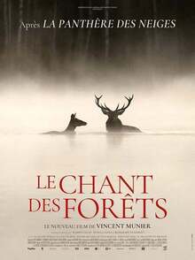 le-chant-des-forets-affiche