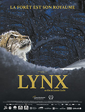 lynx-affiche