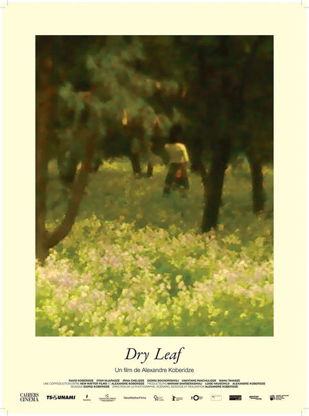 Dry Leaf 