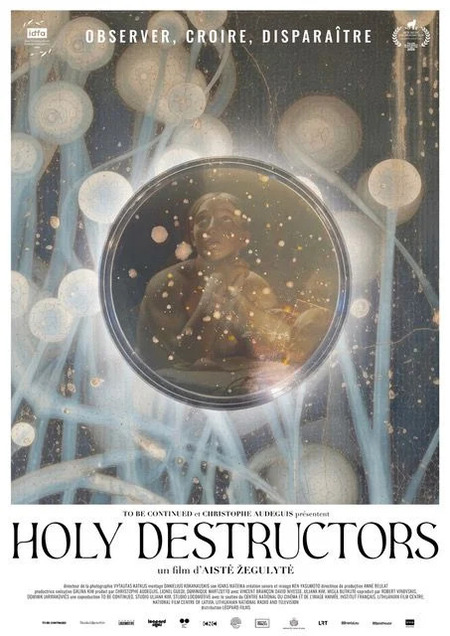 holly destructors