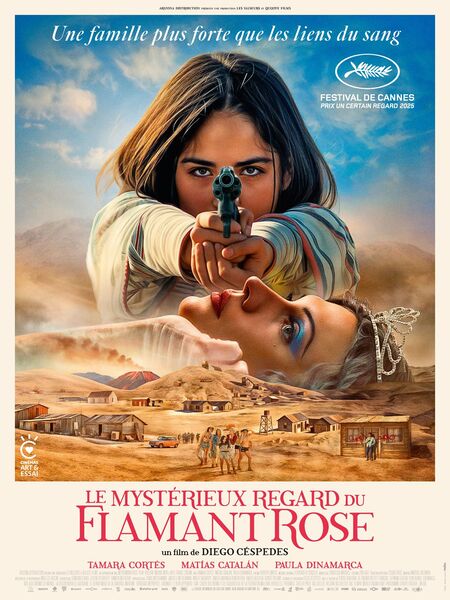 Le Mysterieux Regard Du Flamant Rose Le Mysterieux Regard Du Flamant Rose