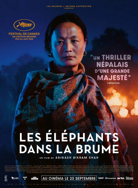 Les E Le Phants Dans La Brume Les E Le Phants Dans La Brume