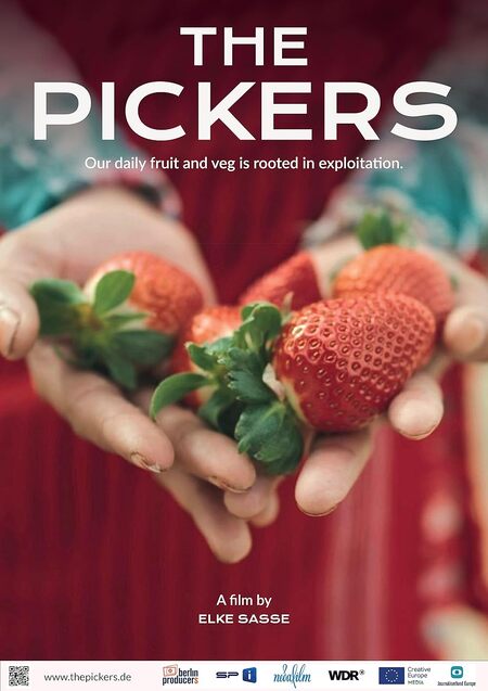The Pickers